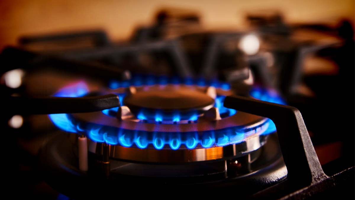 LG Failed to Disclose Childhood Asthma Risk Linked to Gas Stoves, Class