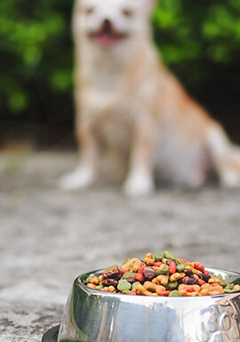 Mid-America Pet Food Recall Lawsuit Filed Over Salmonella Contamination